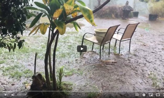 3″ of rain in 45 Minutes can be a bitch in the dining room!