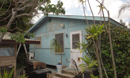 Painting Kamehameiki!