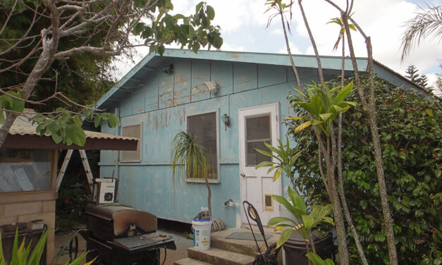 Painting Kamehameiki!