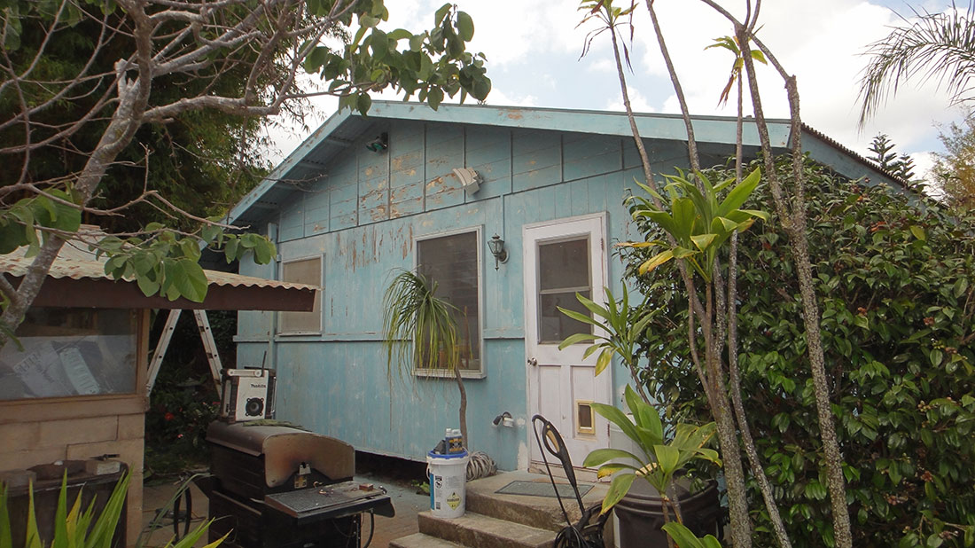 Painting Kamehameiki!