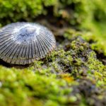 A few nights in Hana