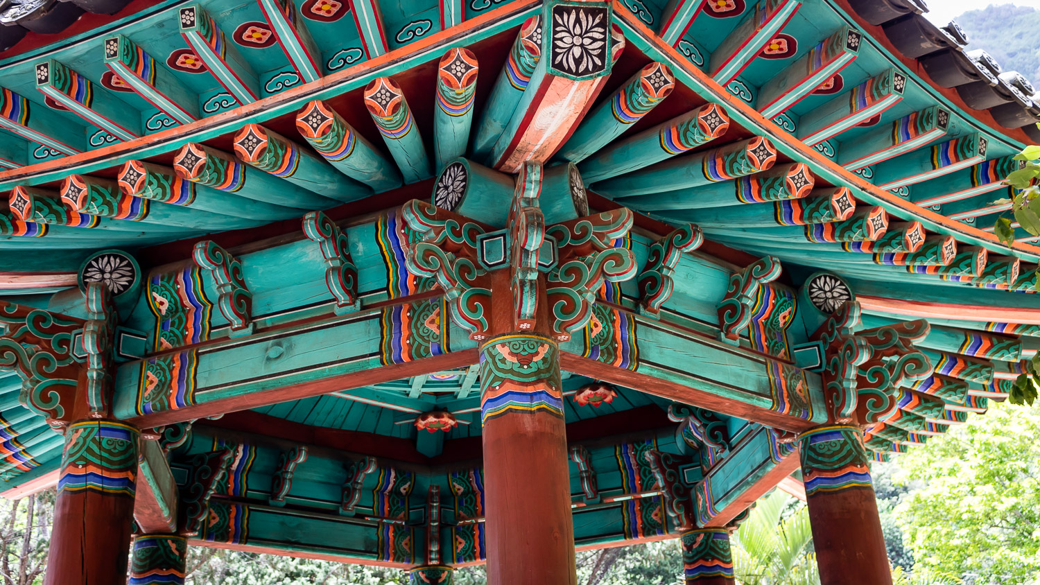 Chance & Woody in Maui